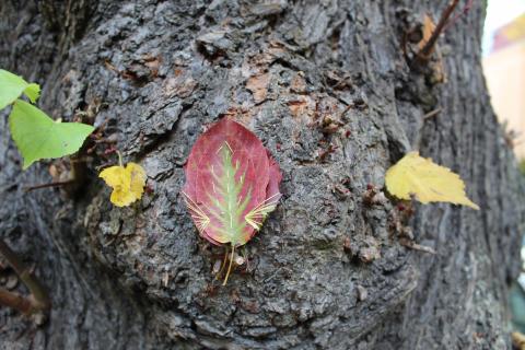 Leaf Embroidery by Lina Khalil, image 8 of 8.